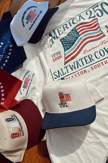 America 250 Tee