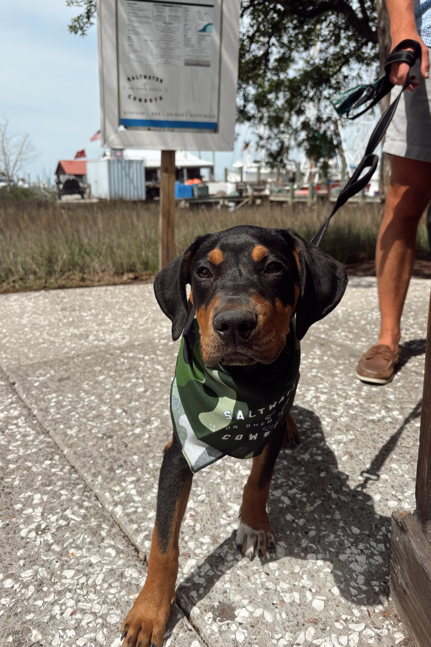 SWC CAMO DOG BANDANA
